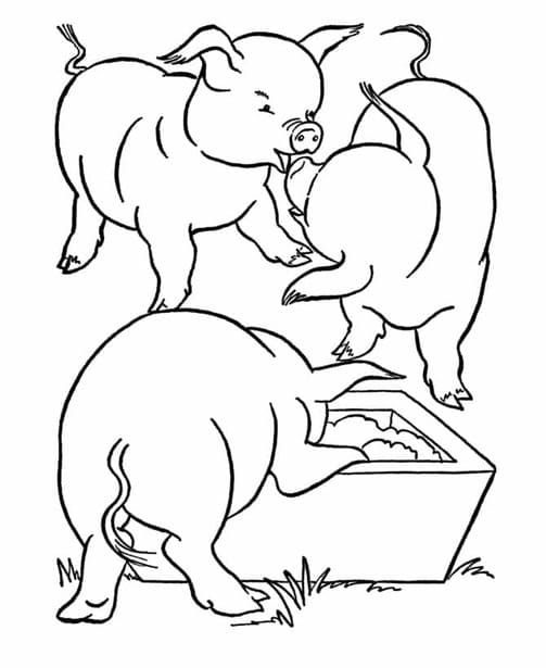 ระบายสี ภาพสามหมู