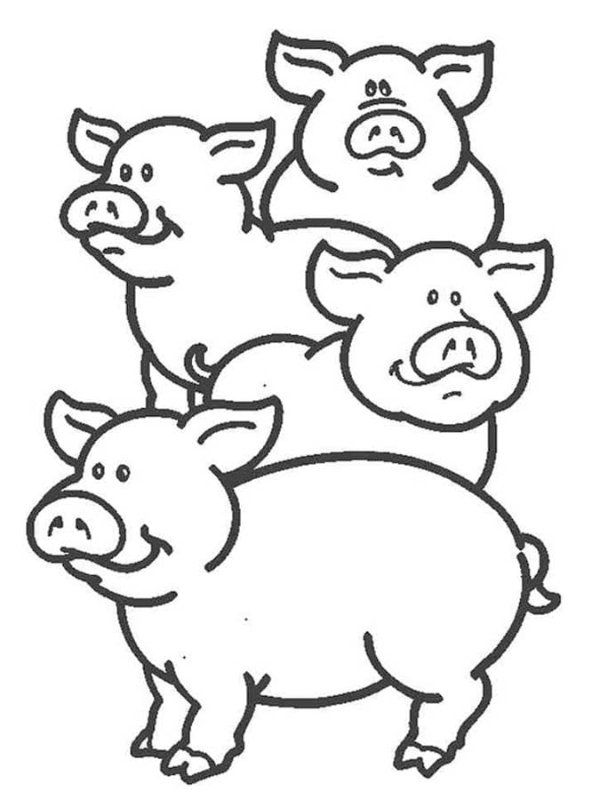 ระบายสี ภาพสี่หมู