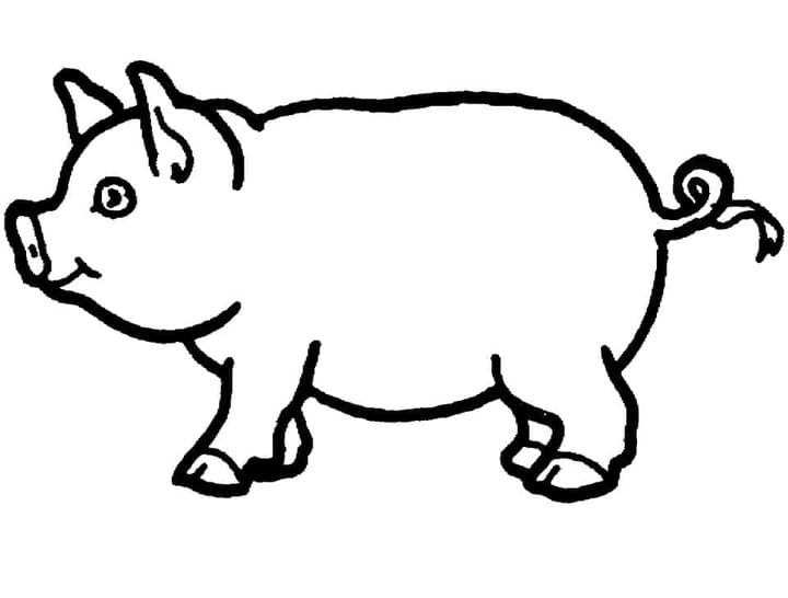 ระบายสี ภาพวาดหมู