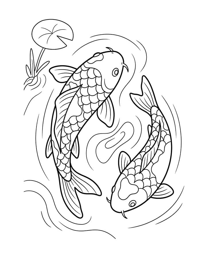 ระบายสี ปลาคาร์ปในสระบัว
