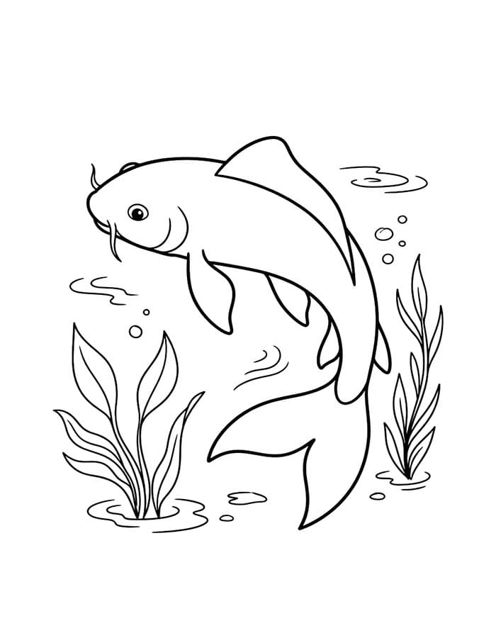 ระบายสี ปลาคาร์ปภาพวาด