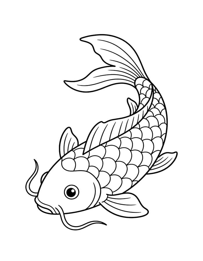 ระบายสี ปลาคาร์ปเรียบง่าย