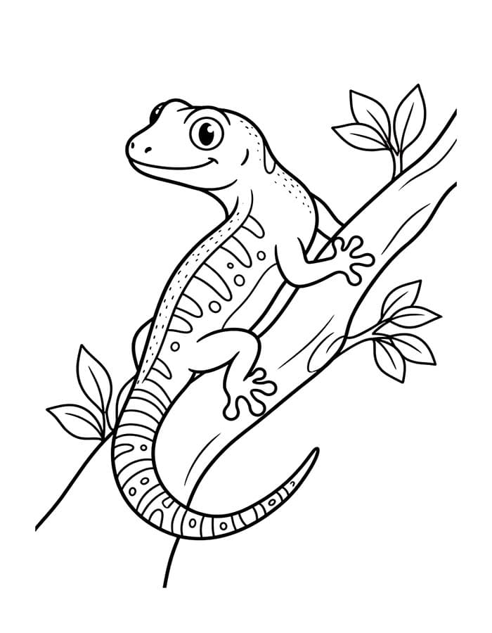 ระบายสี ตุ๊กแกการวาดภาพ