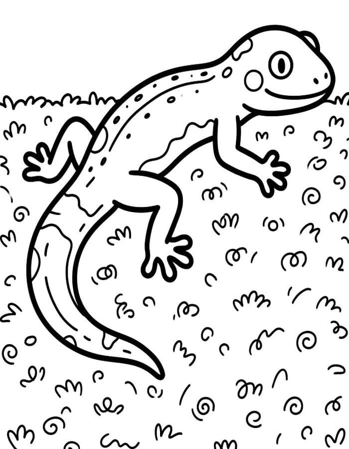 ระบายสี ตุ๊กแกเกาะติดอยู่กับพรม