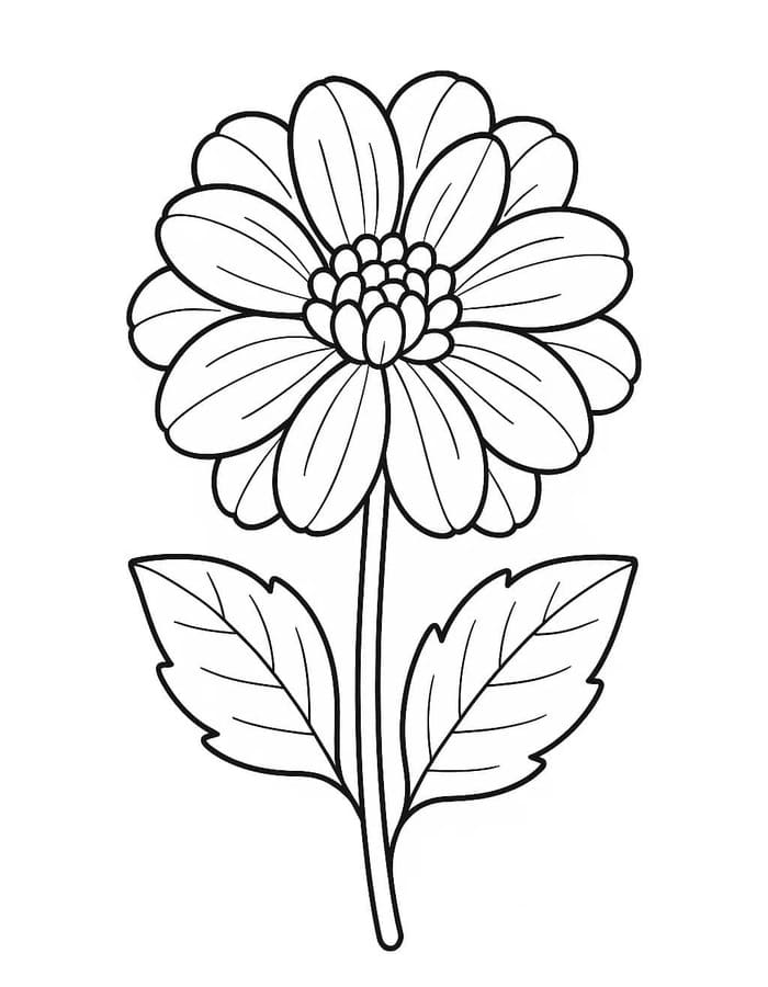ระบายสี ดาเลียแบบง่าย