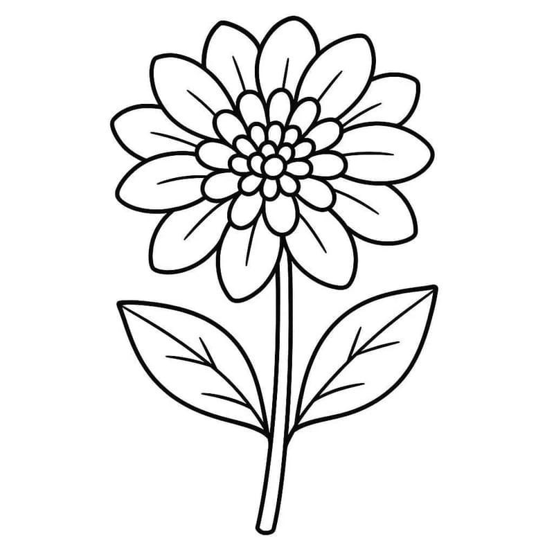 ระบายสี ดาเลียการวาดภาพ