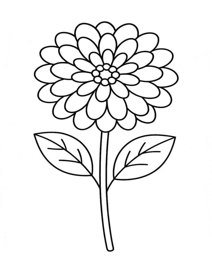 ระบายสี ดาเลียภาพวาด