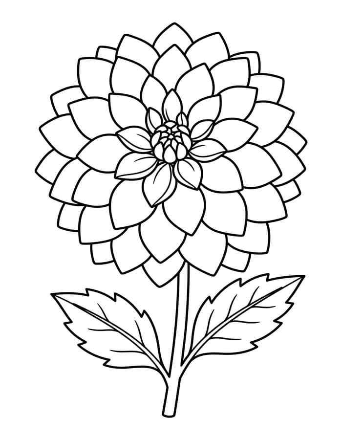 ระบายสี ดาเลียสีแดง
