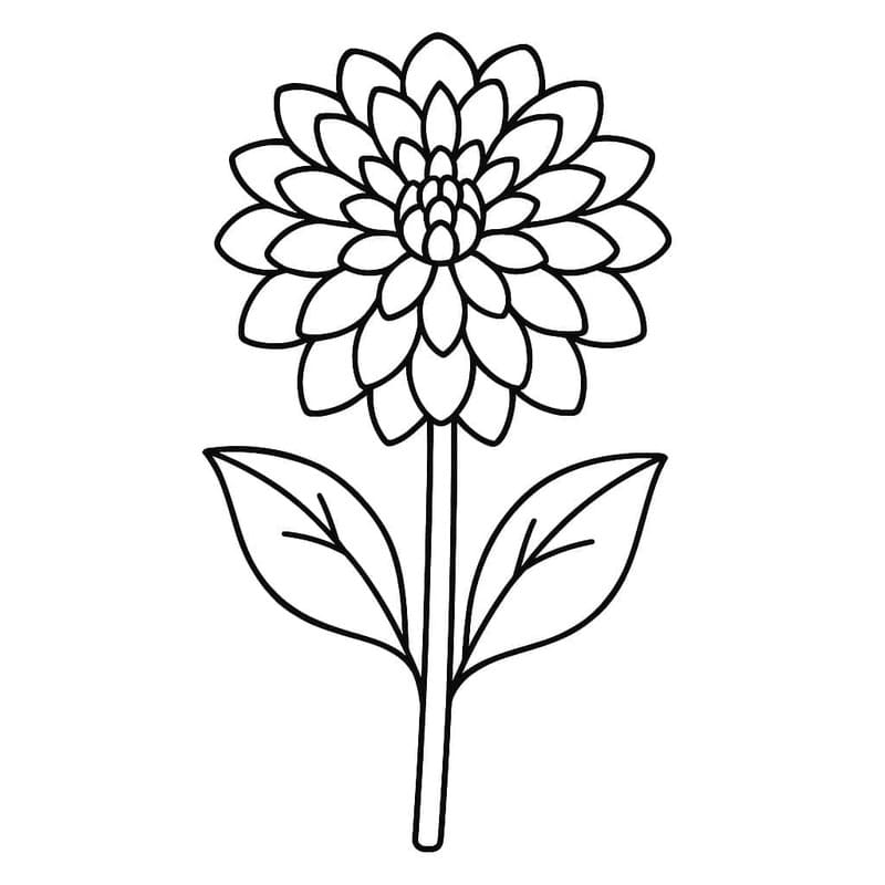 ระบายสี ดาเลียวาดภาพ