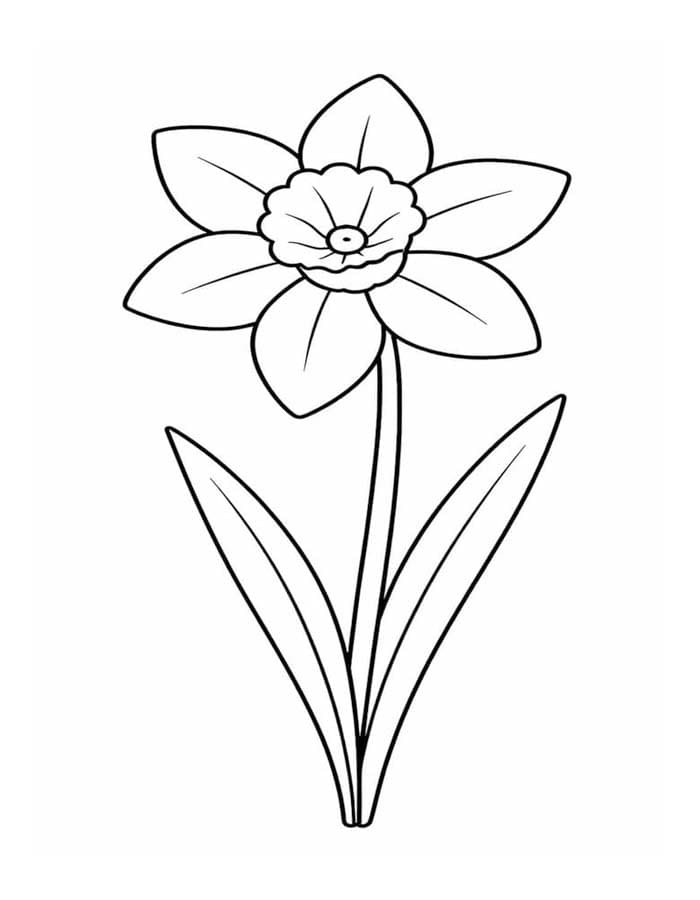 ระบายสี ดอกแดฟโฟดิลแบบภาพวาดธรรมชาติ