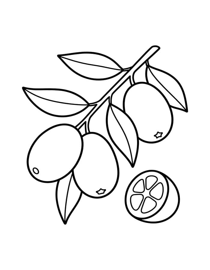 ระบายสี การวาดภาพส้มจี๊ด