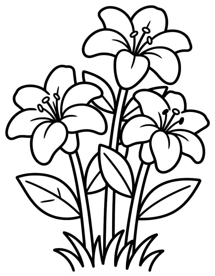 ระบายสี ลิลีสำหรับเด็ก