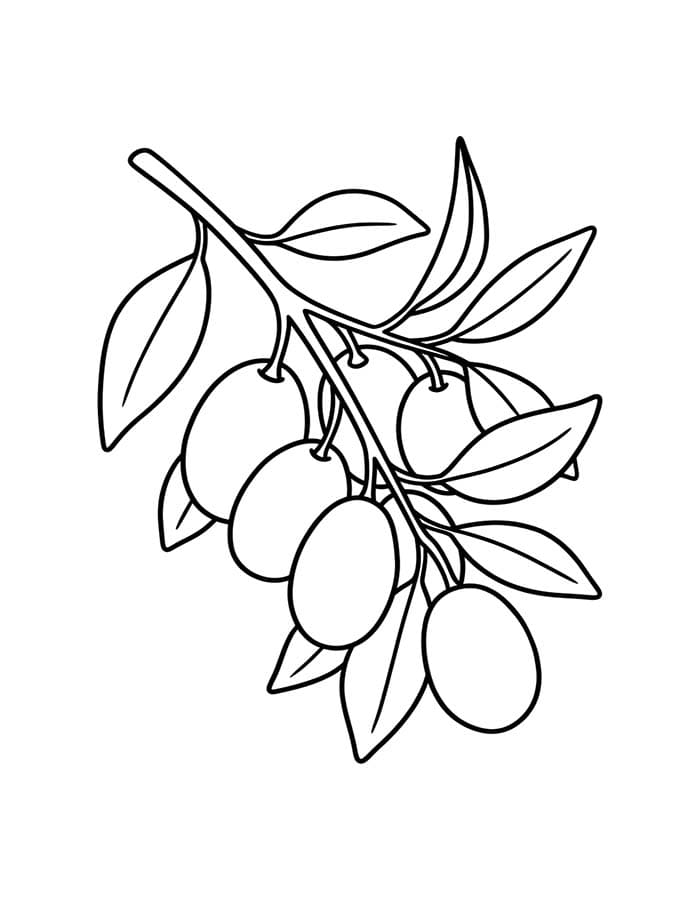 ระบายสี ภาพวาดส้มจี๊ด