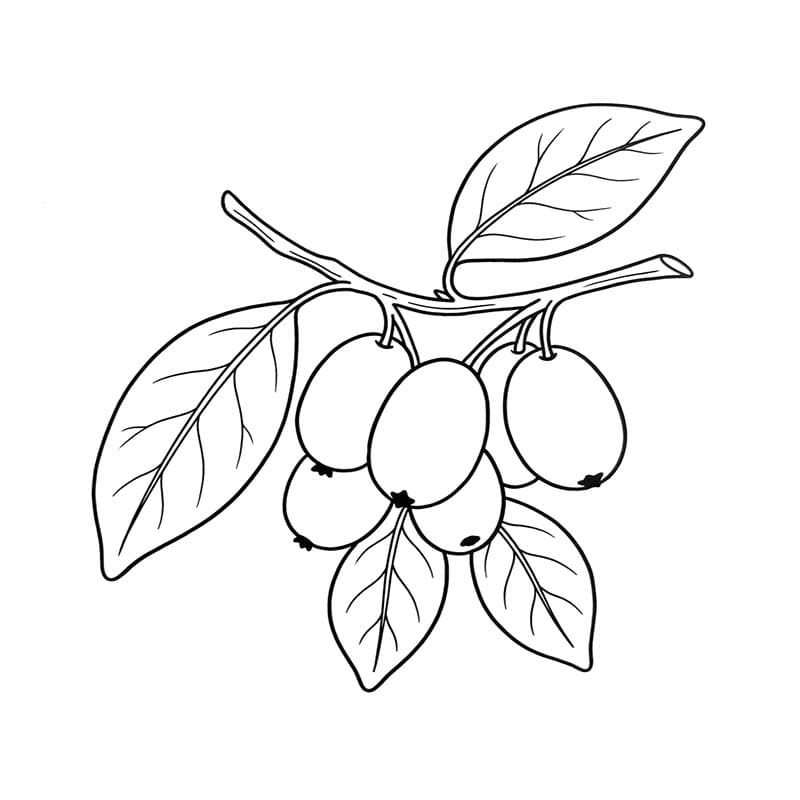 ระบายสี ส้มจี๊ดการวาดภาพแบบง่ายๆ