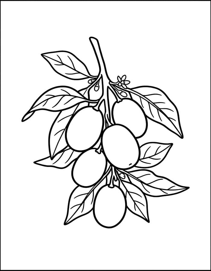 ระบายสี ส้มจี๊ดการวาดภาพ