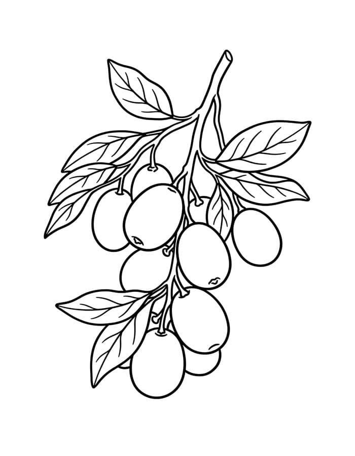 ระบายสี วาดภาพส้มจี๊ด